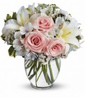 Arrive In Style Cottage Florist Lakeland Fl 33813 Premium Flowers lakeland